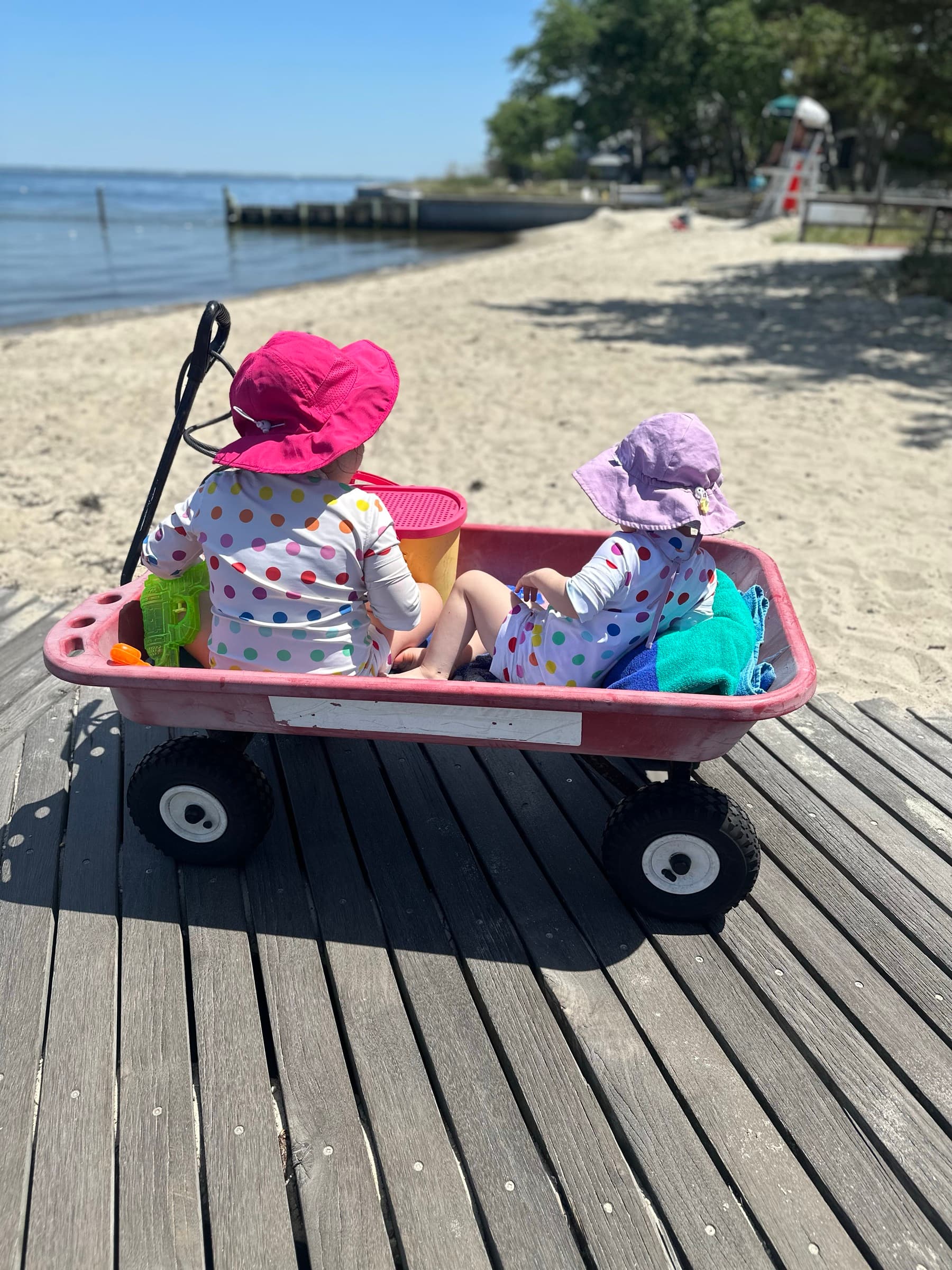 Maddy's kids riding in a beach wagon
